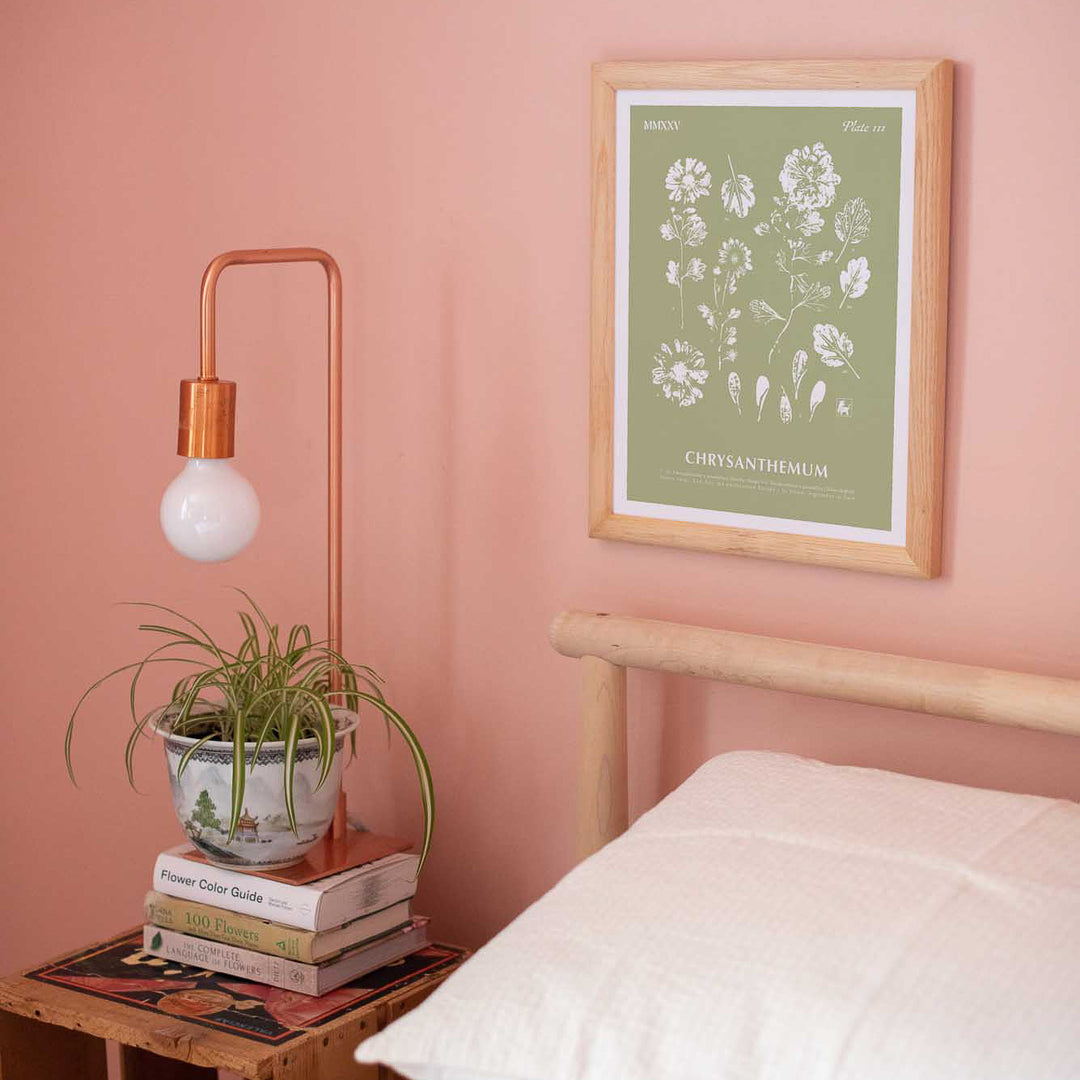 November | Chrysanthemum