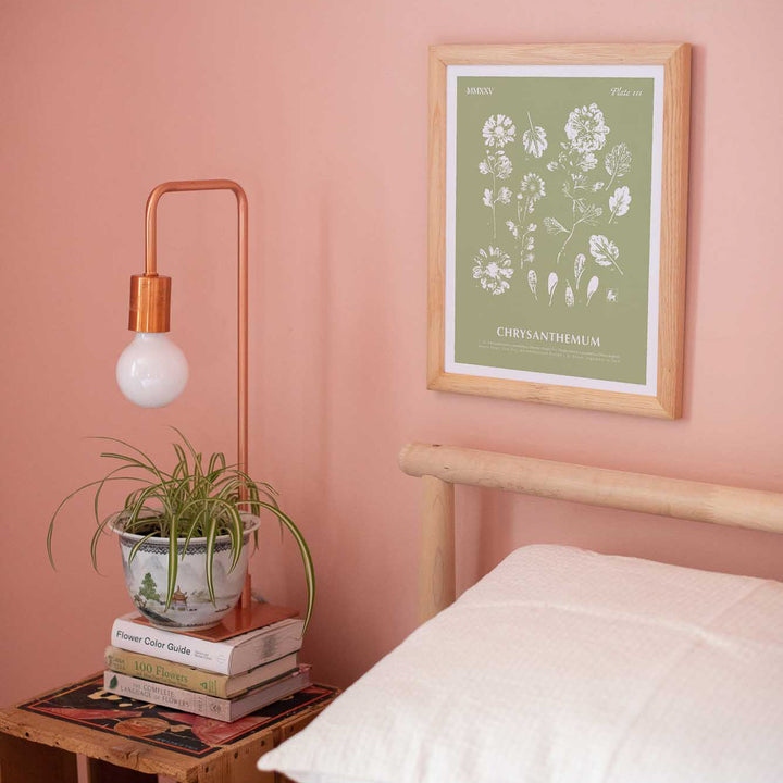 November | Chrysanthemum