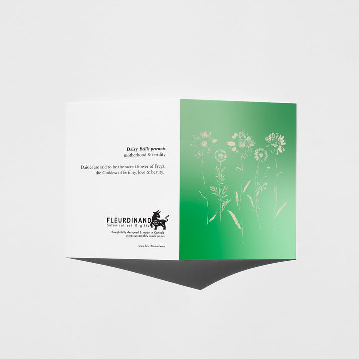 Greeting card with daisies that are green and white design on a white background