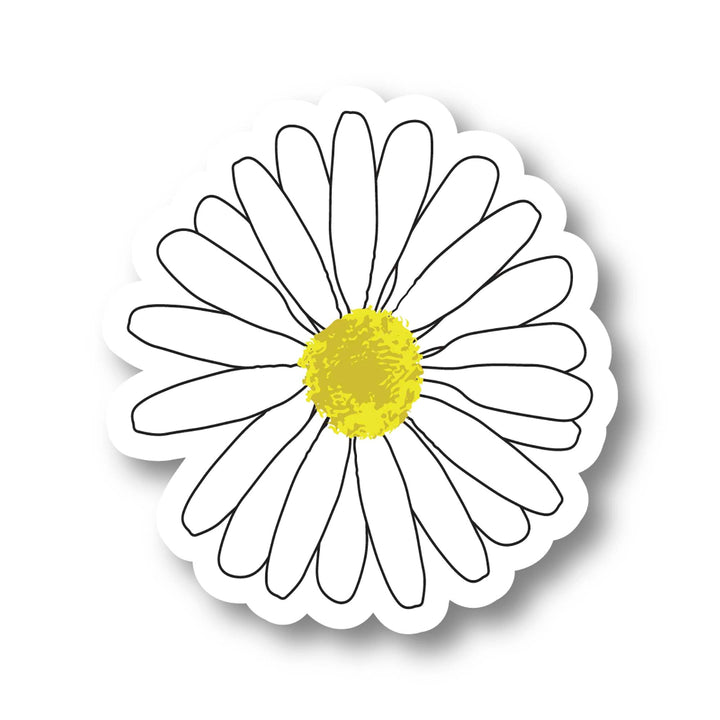 Daisy flower with white petals and a yellow center on a white background