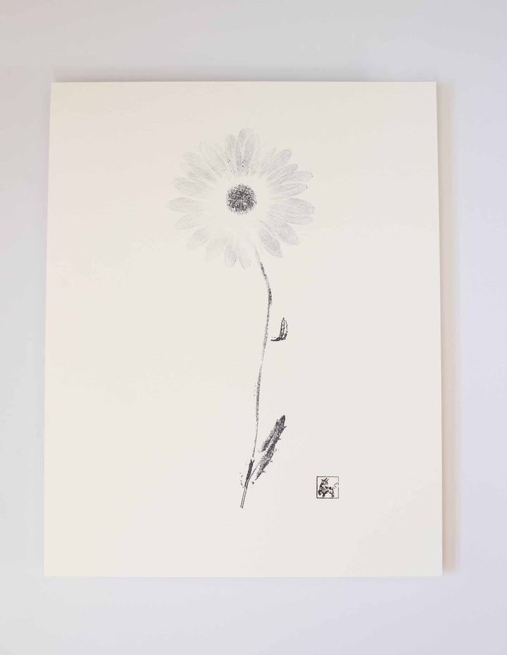 11x14 Daisy No.6