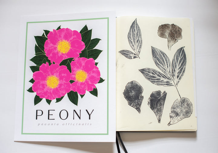 Peony | Flower Art Prints