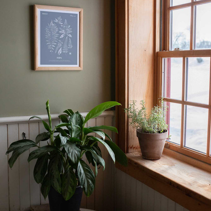 Fern | Botanical Art Print