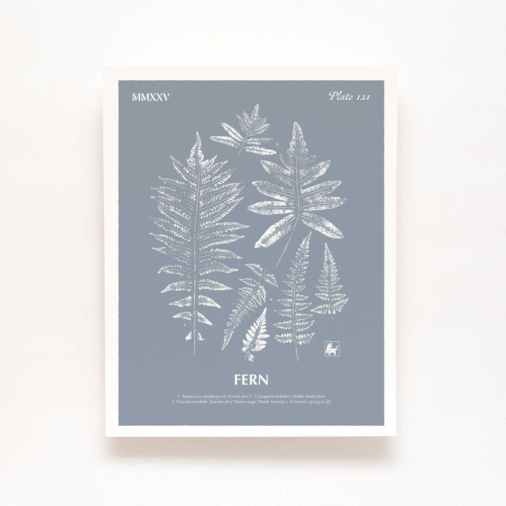 Fern | Botanical Art Print