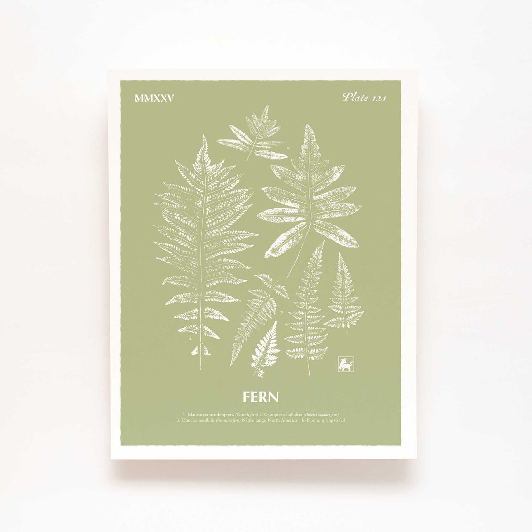 Fern | Botanical Art Print