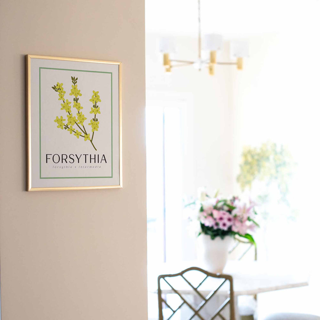 Forsythia | Flower Art Prints