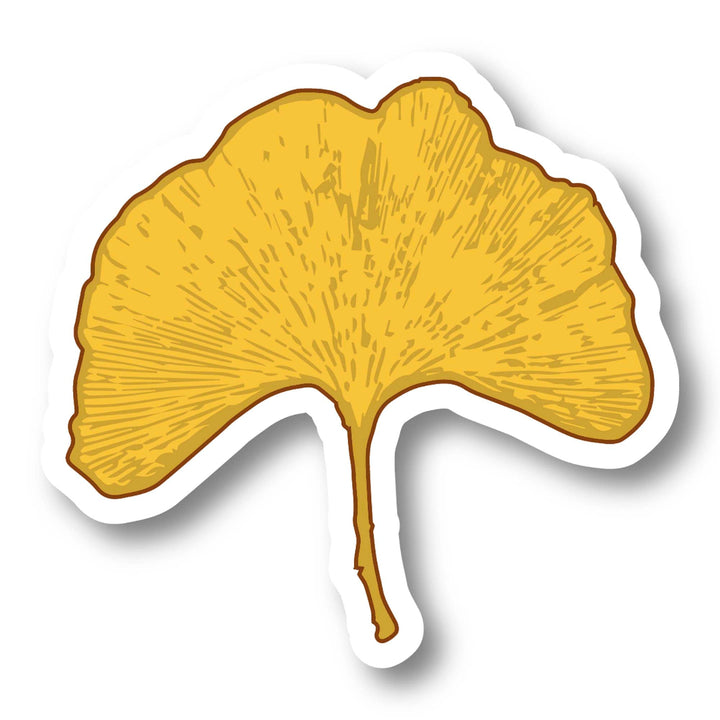 Yellow ginkgo leaf sticker on a white background