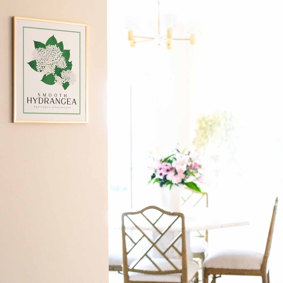 Hydrangea | Flower Art Prints