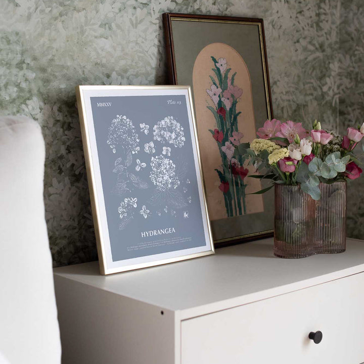 Hydrangea | Botanical Art Print