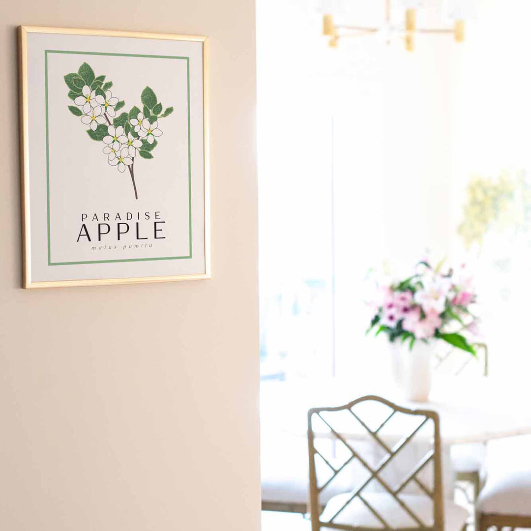 Apple Blossom | Flower Art Prints