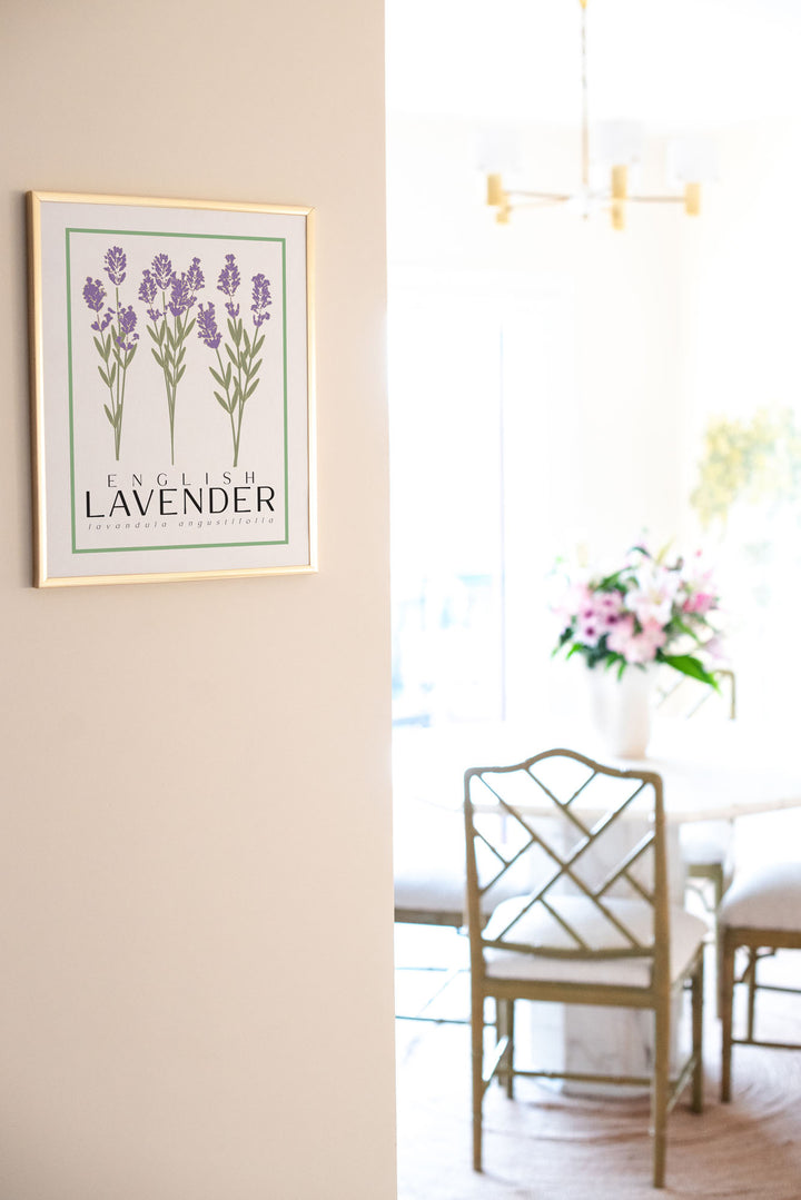 English Lavender | Flower Art Prints