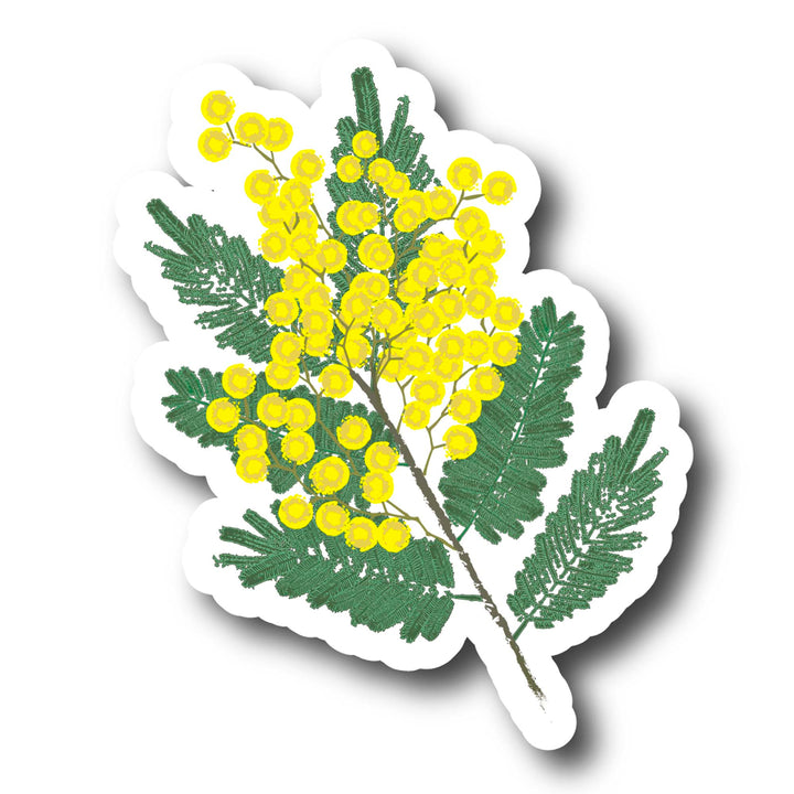 Sticker with mimosa flowers that are yellow and green leaves on a white background