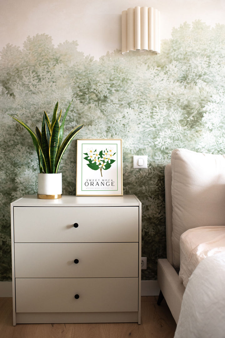 Mock Orange | Flower Art Prints