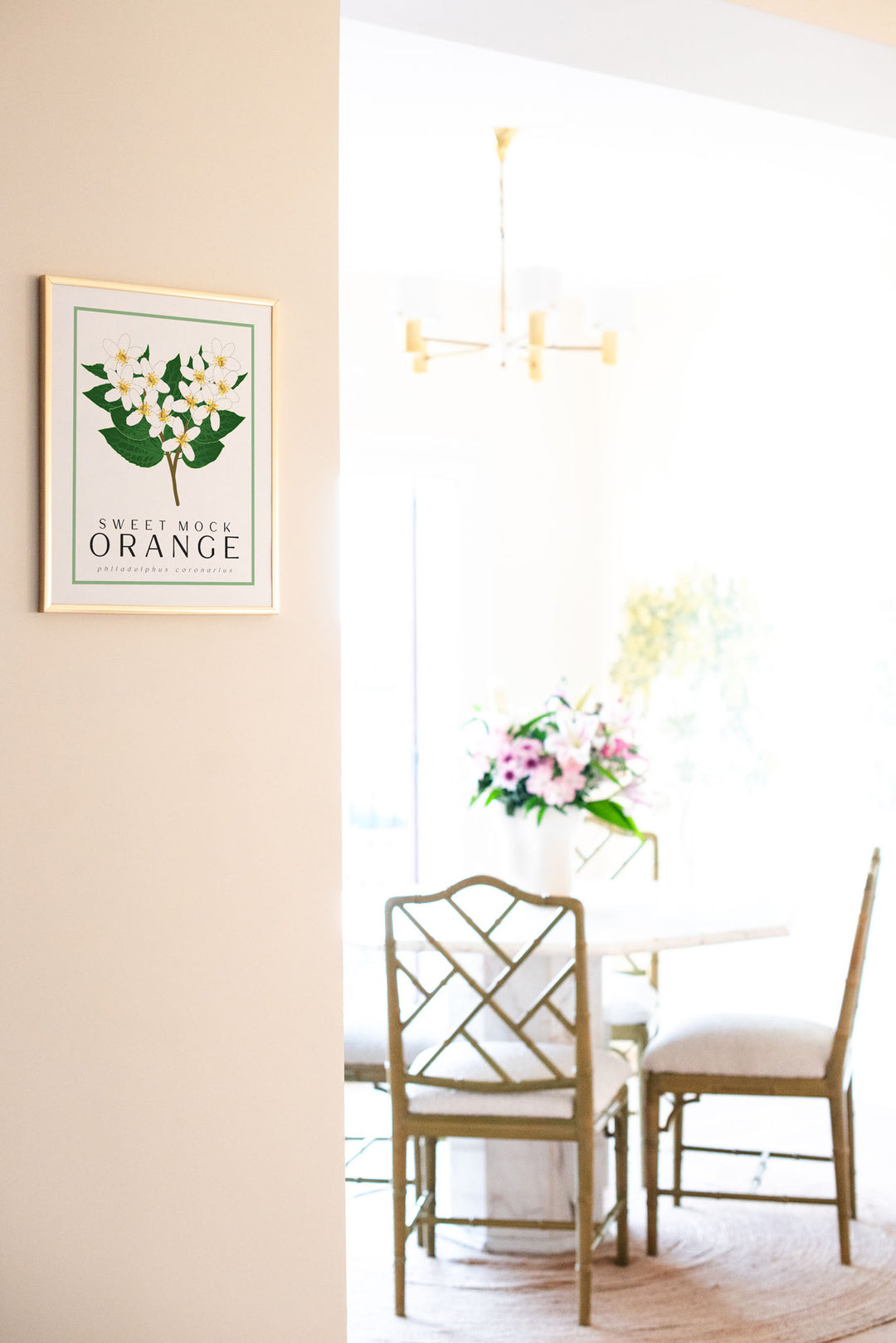 Mock Orange | Flower Art Prints