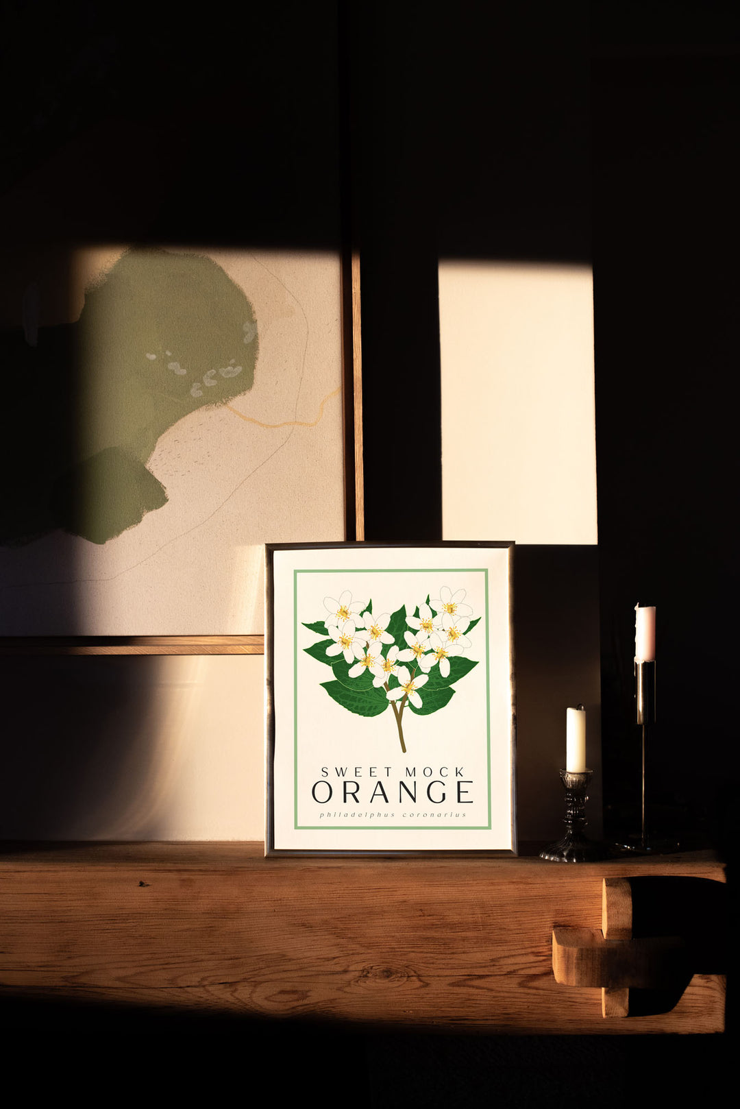 Mock Orange | Flower Art Prints