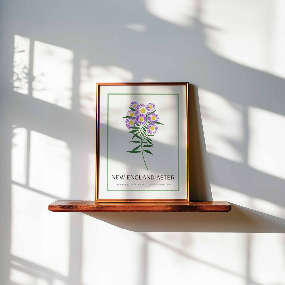 New England Aster | Flower Art Prints