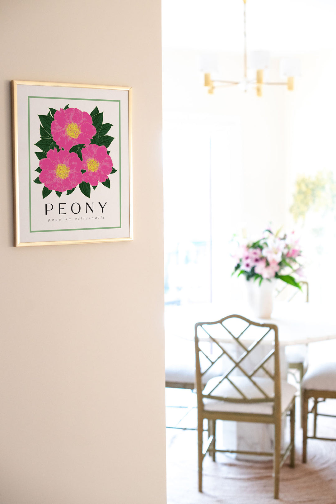 Peony | Flower Art Prints