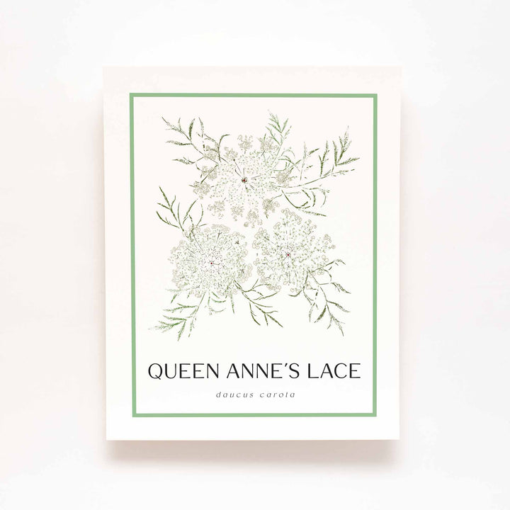 Queen Anne's Lace| Flower Art Prints