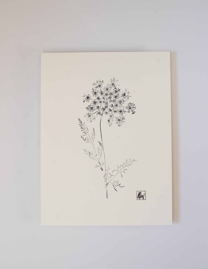 9x12 Queen Anne's Lace No.1