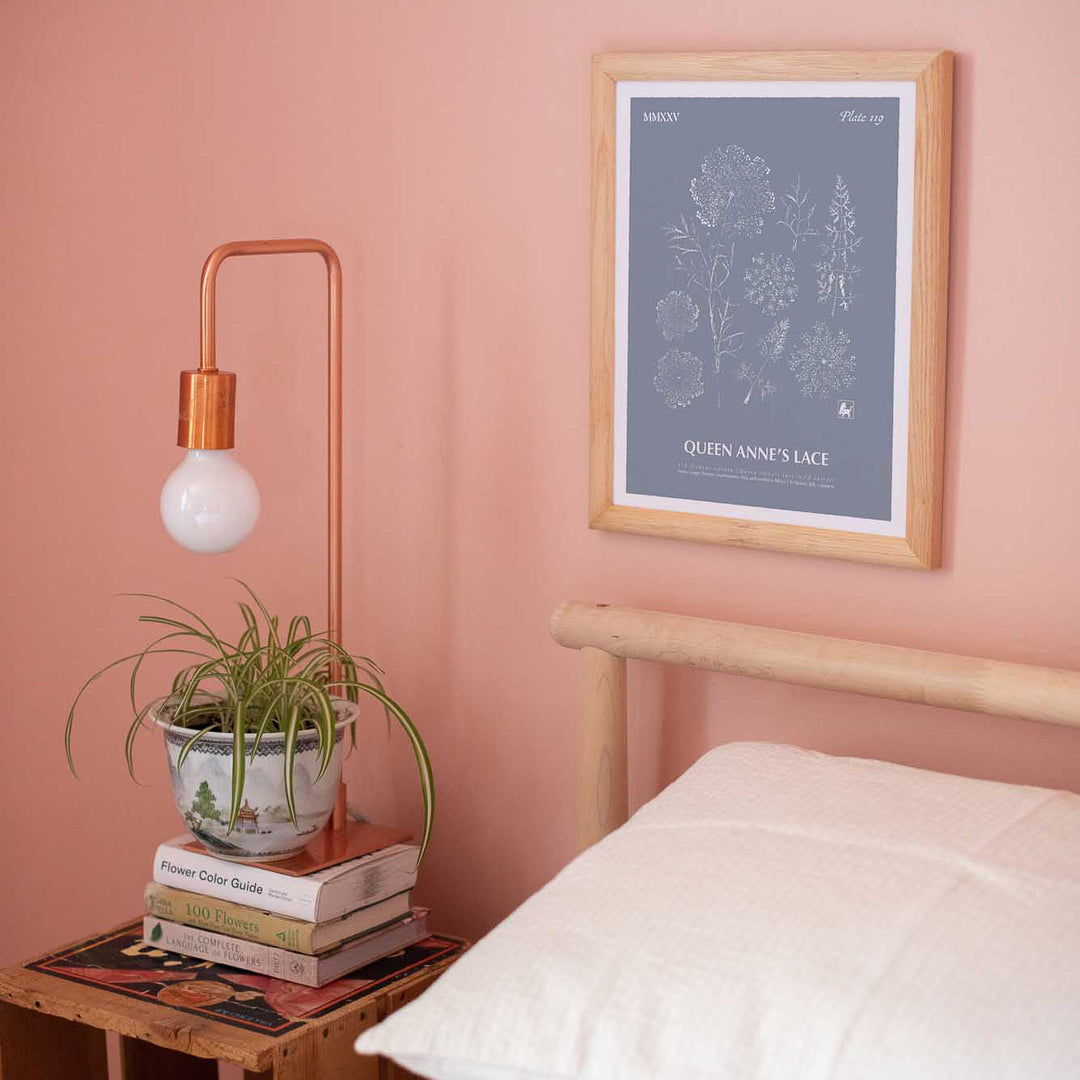 Queen Anne's lace | Botanical Art Print