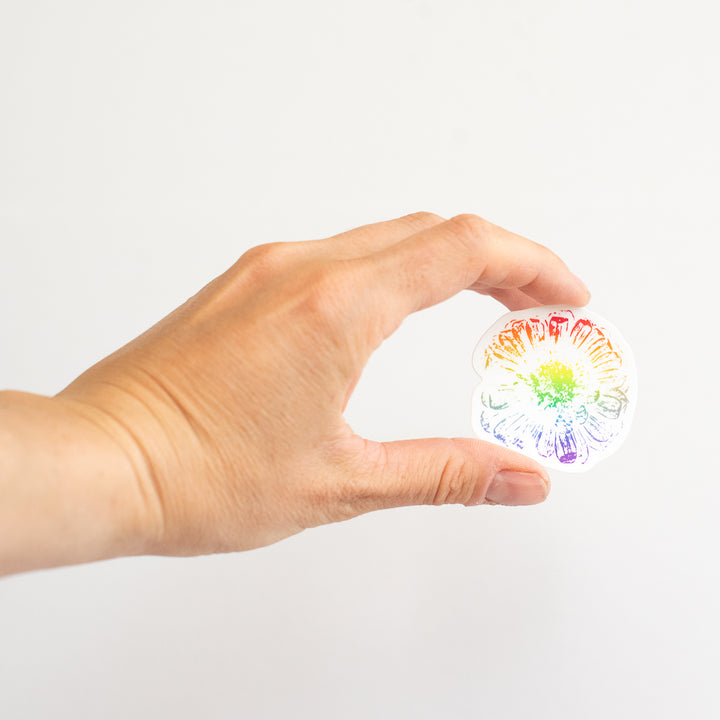 Hand holding a small, rainbow zinnia vinyl sticker against a white background