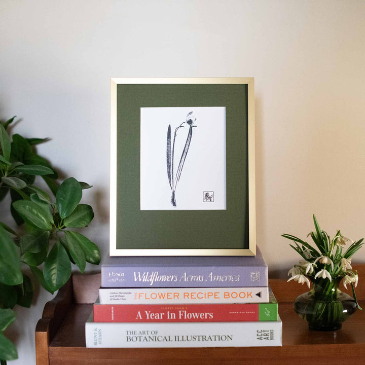 Snowdrop No.1