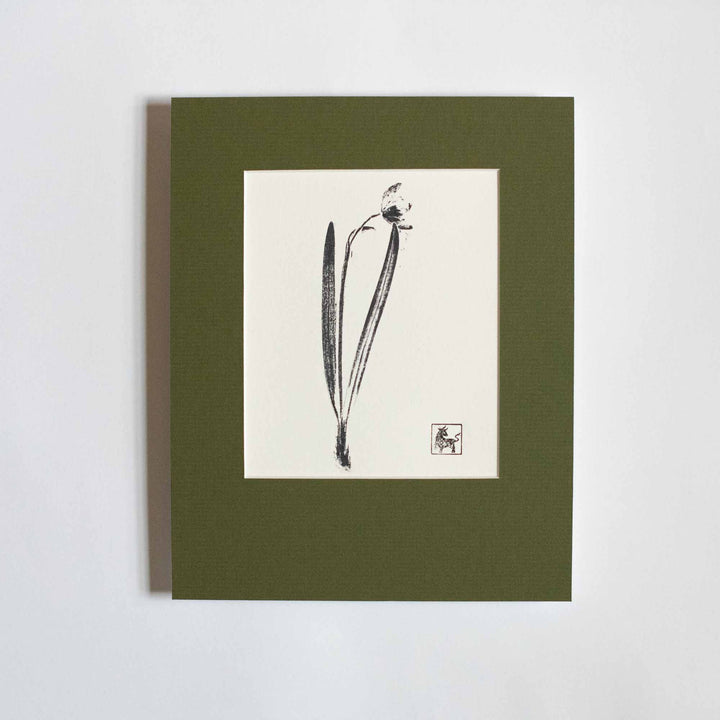 Snowdrop No.1