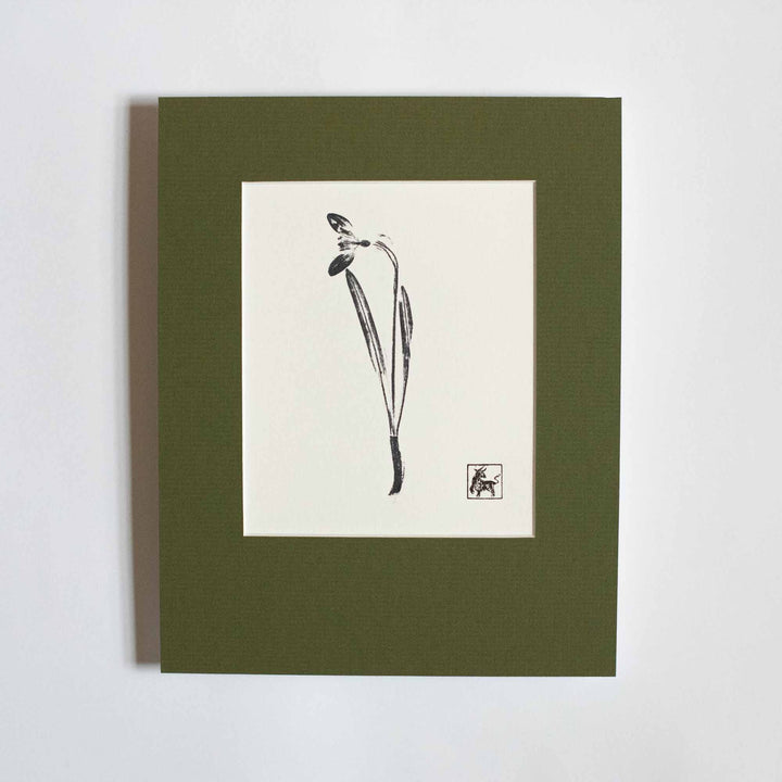 Snowdrop No.2
