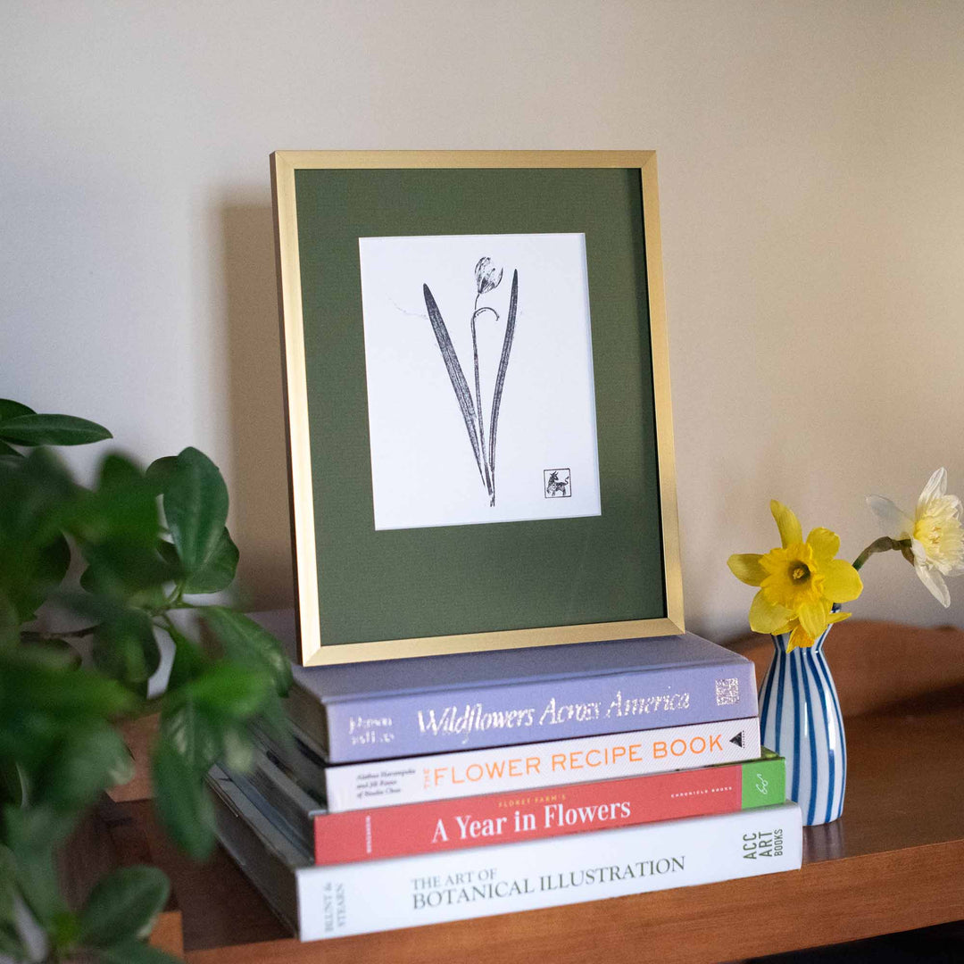 Snowdrop No.4