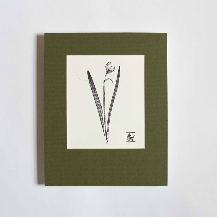 Snowdrop No.4