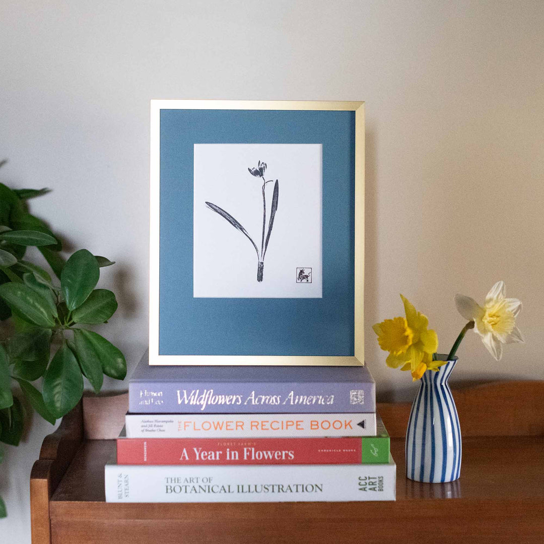 Snowdrop No.8