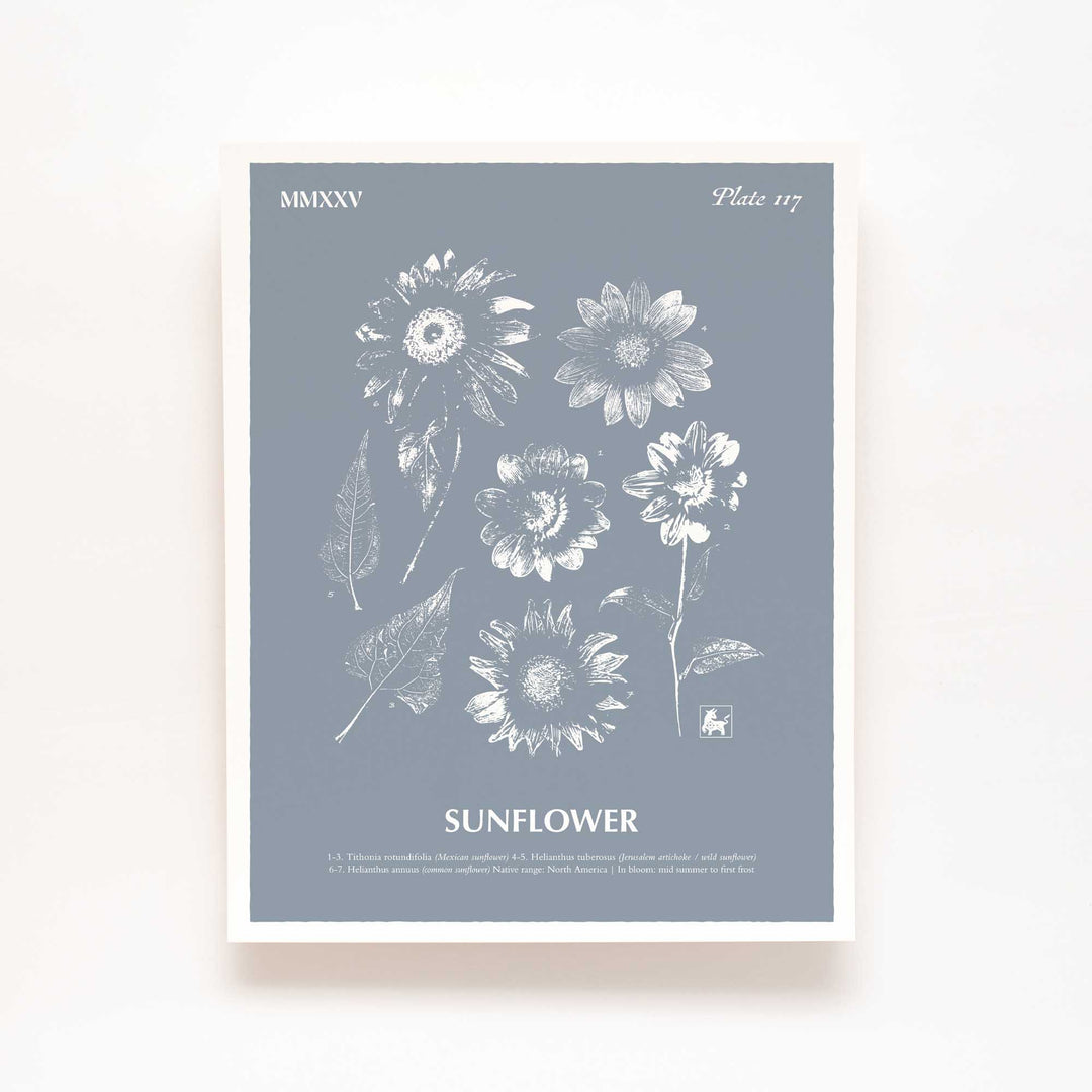 Sunflower | Botanical Art Print