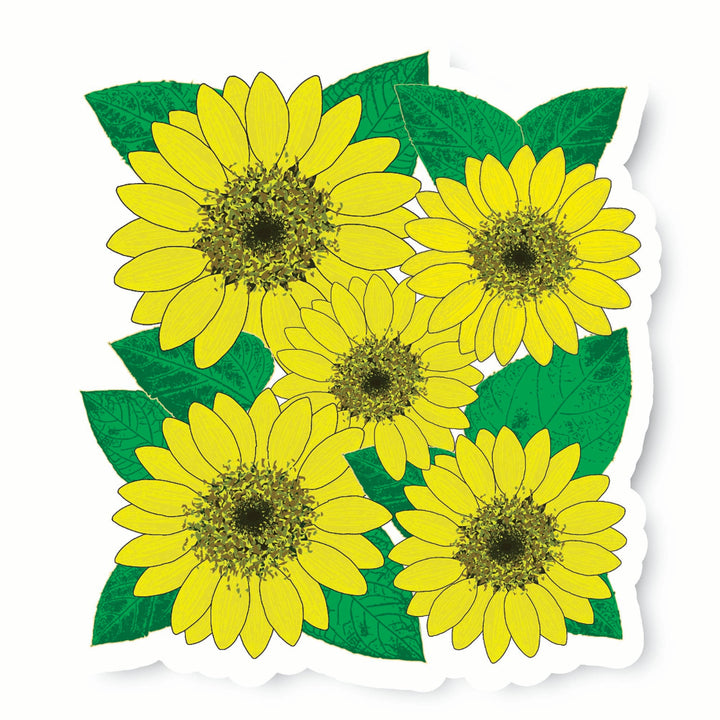 Five yellow sunflowers with green leaves on a white background