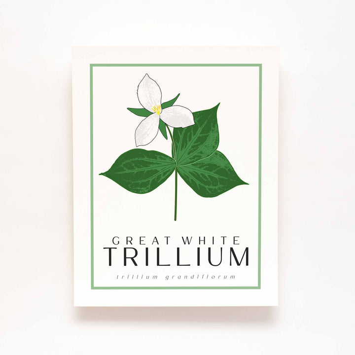 Trillium | Flower Art Prints