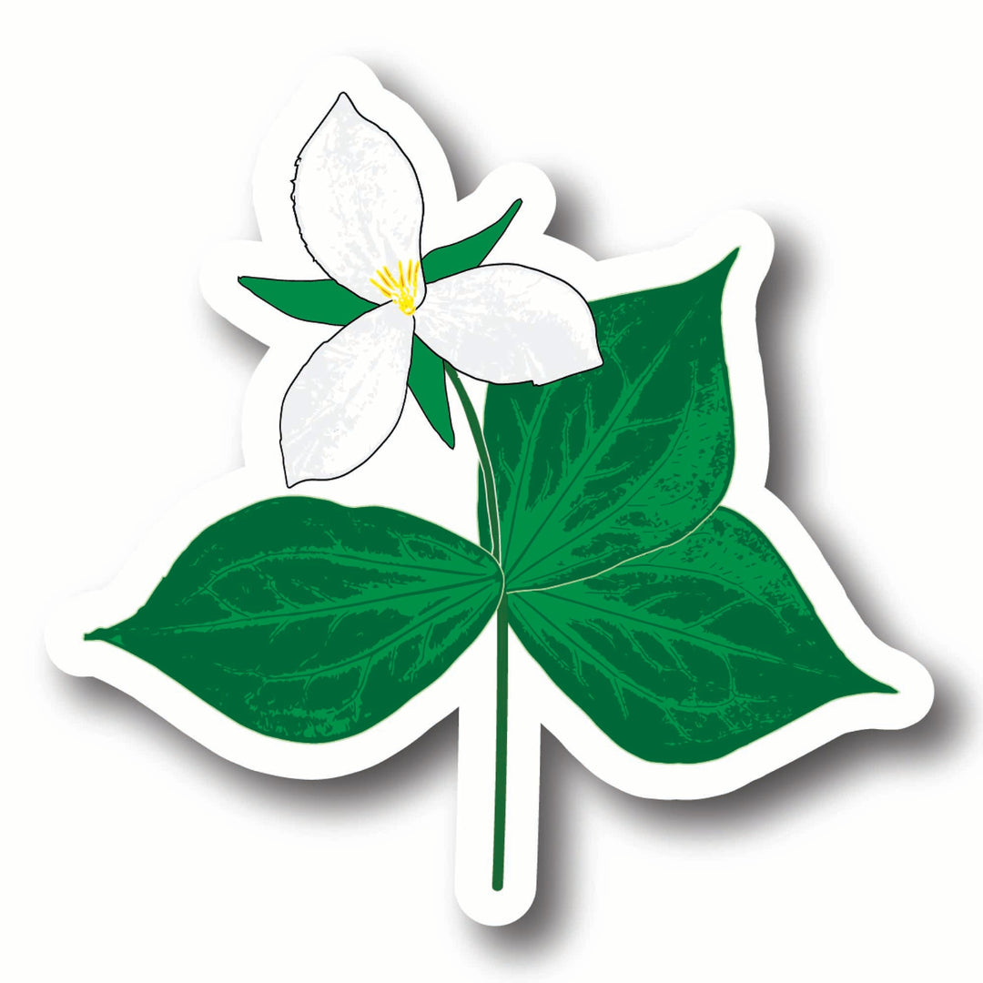 White trillium flower sticker with green leaves on a white background