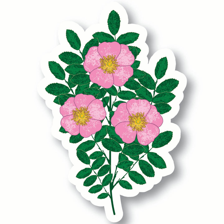 Sticker of wild roses with pink flowers and green leaves on a white background