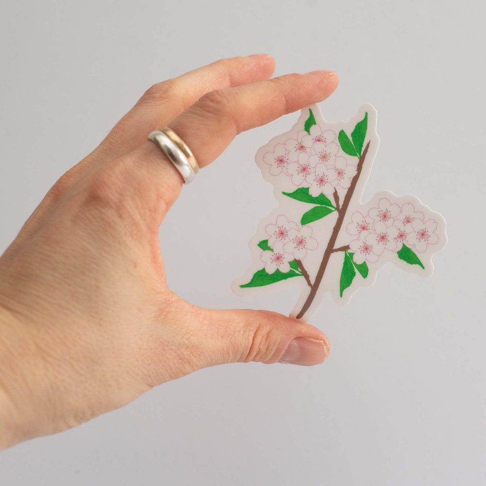 Hand holding a sticker of a cherry blossom branch with pink flowers and green leaves on a light gray background.