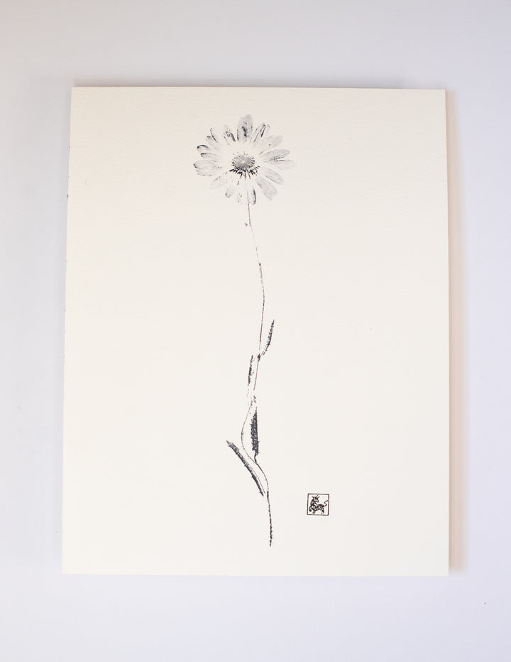 11x14 Daisy No.4