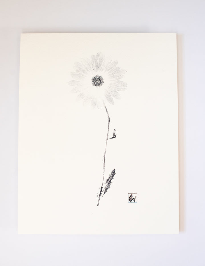 11x14 Daisy No.6