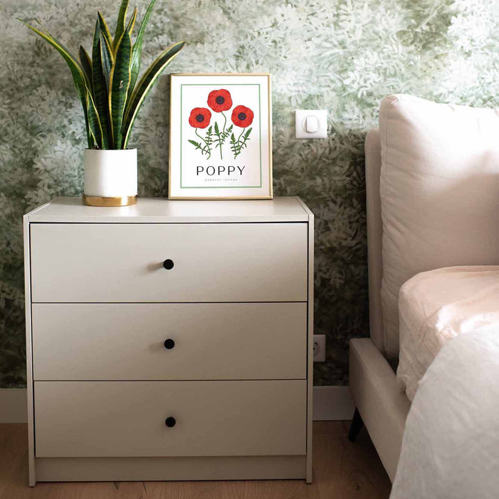 Poppy | Flower Art Prints