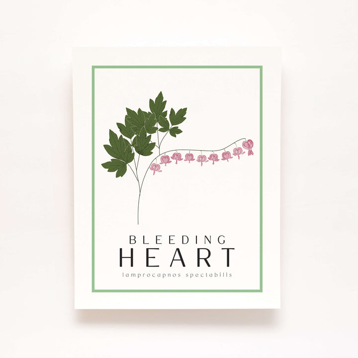 Bleeding Heart | Flower Art Prints