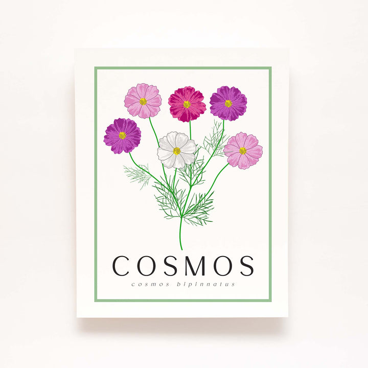 Cosmos | Flower Art Prints