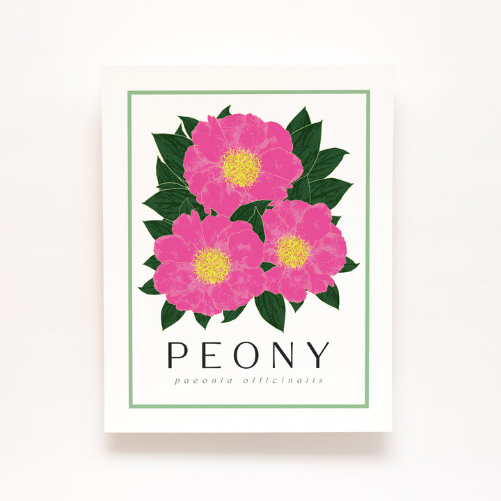 Peony | Flower Art Prints