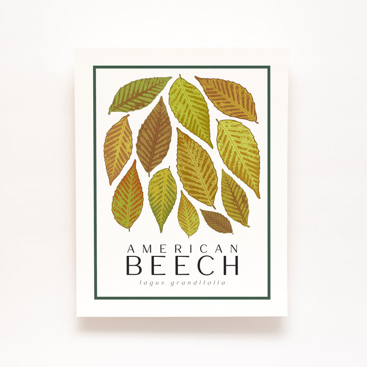 Beech Tree Art Print