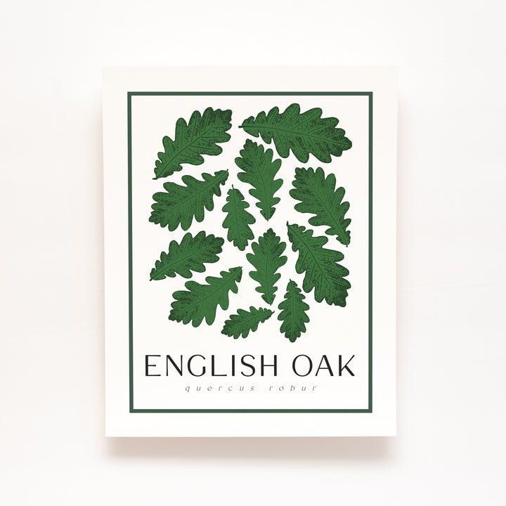 English Oak Tree Art Print