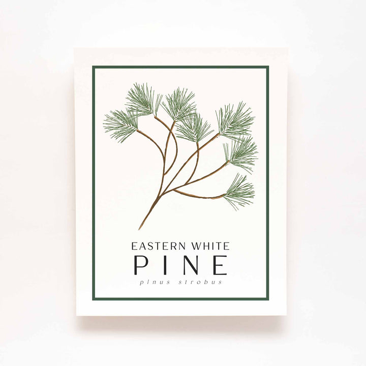 White Pine | Tree Wall Art