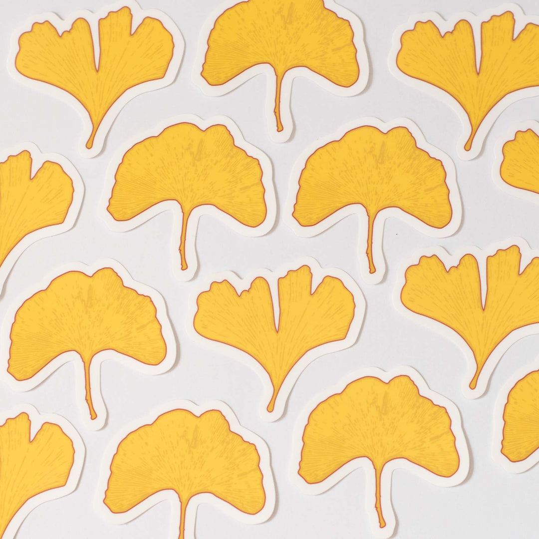Pattern of ginkgo stickers on a white background