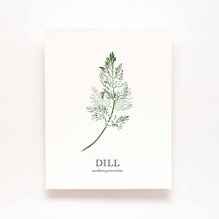 Dill | Herb Wall Art