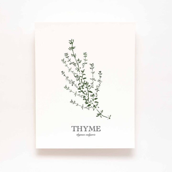 Thyme | Herb Wall Art