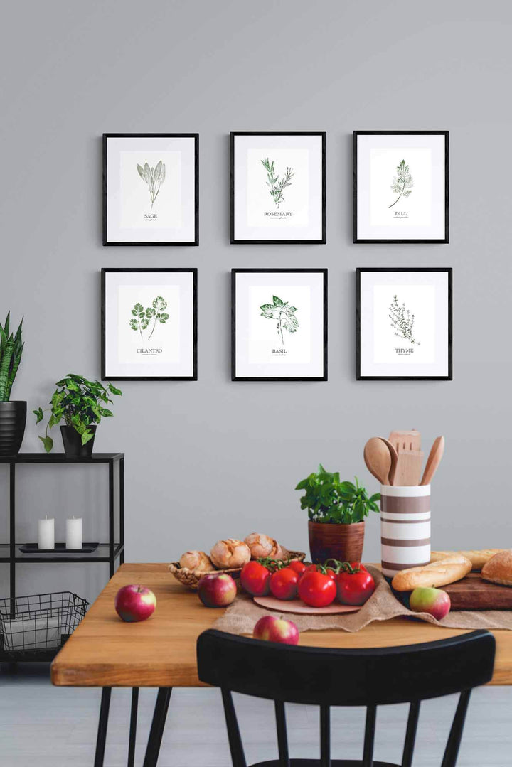 Cilantro | Herb Wall Art